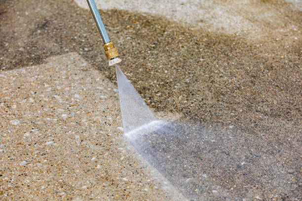 Best Gutter Cleaning  in Cedarville, OH